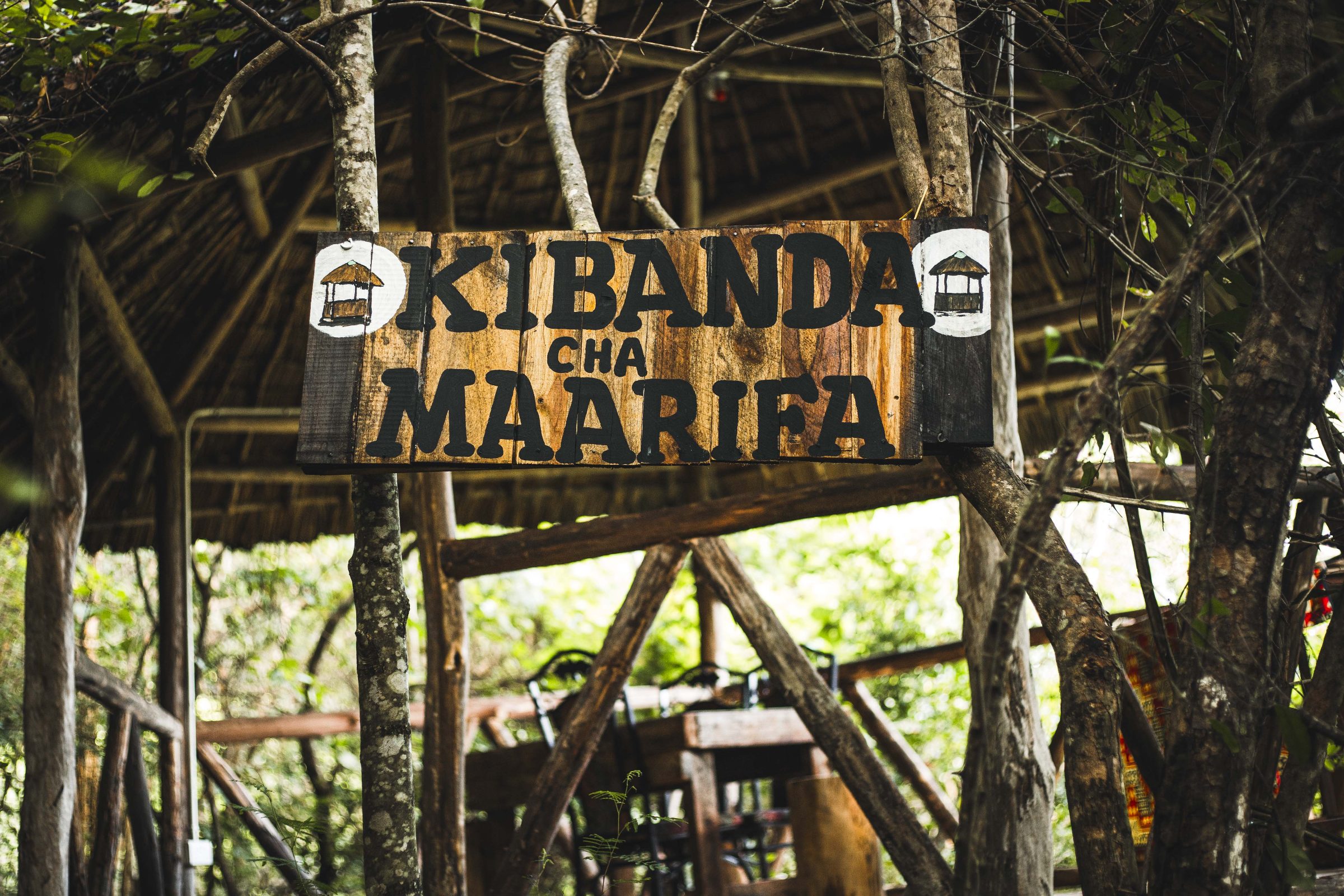 Namata Forest – Contact Us